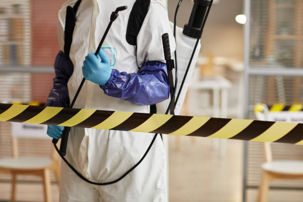Professional Sewage Cleanup technician working in Papillion, NE